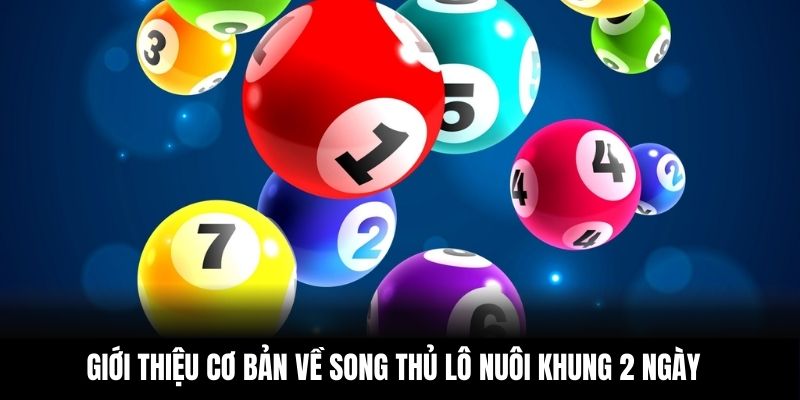 Giới thiệu cơ bản về song thủ lô nuôi khung 2 ngày