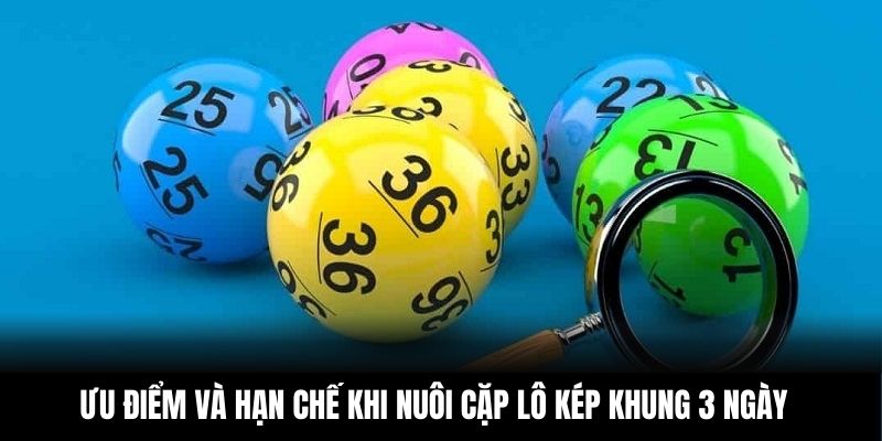 Ưu điểm và hạn chế khi nuôi cặp lô kép khung 3 ngày